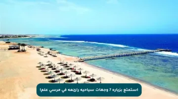 استمتع بزيارة 7 وجهات سياحية رائعة في مرسى علم!